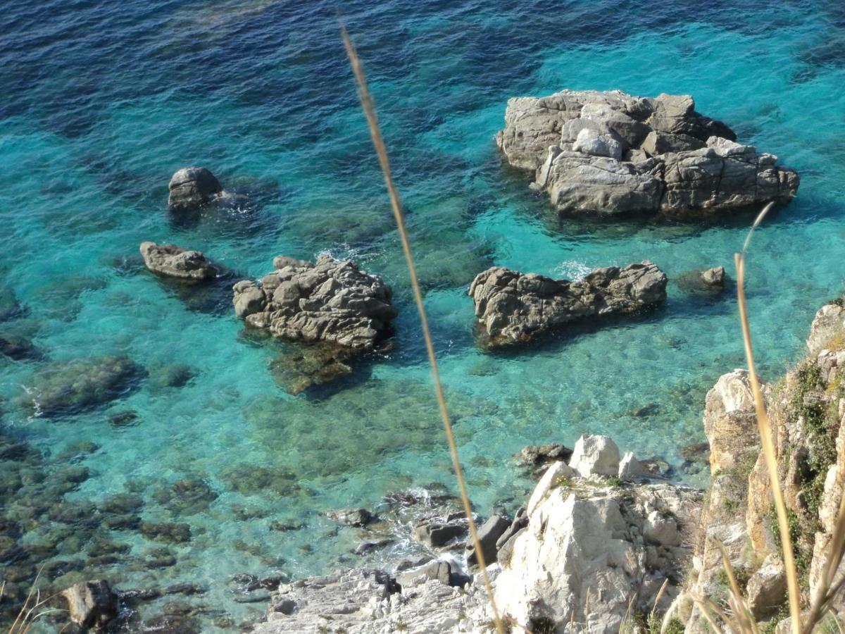 Capo Summer * Capo Vaticano